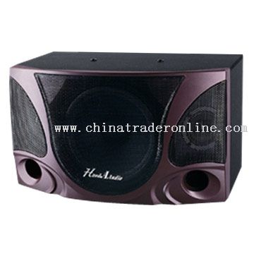 Professional Karaoke Speakers from China